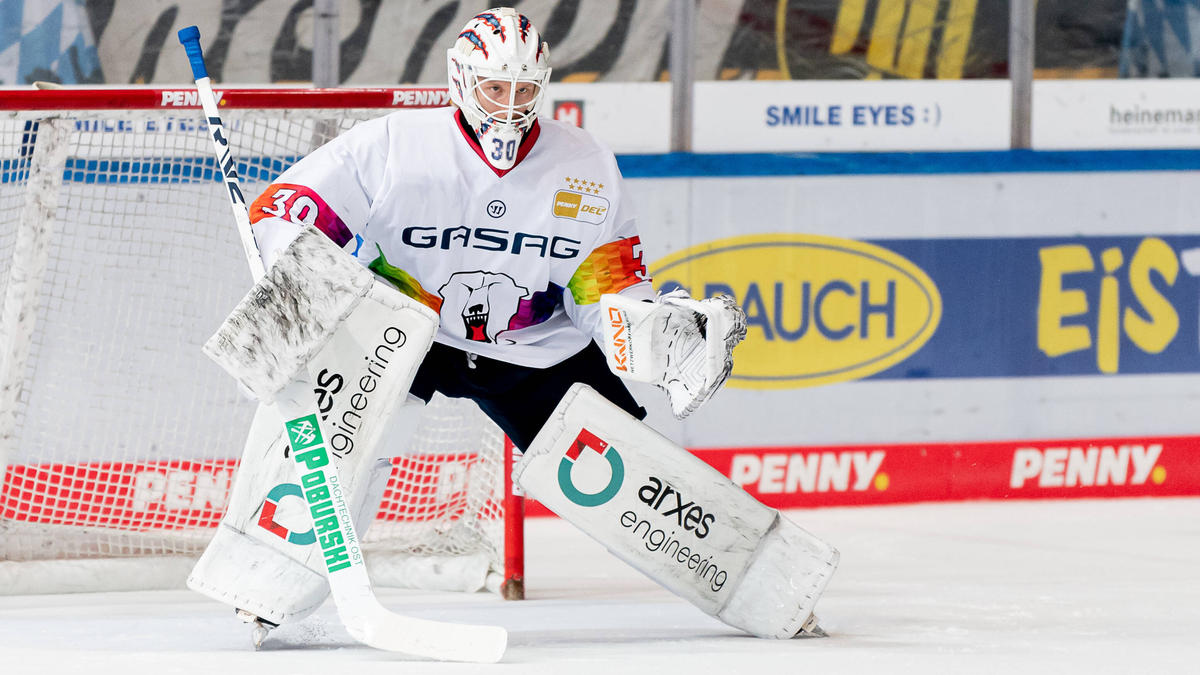 „Und ihr wollt Meister sein?“: Eisbären in der Krise