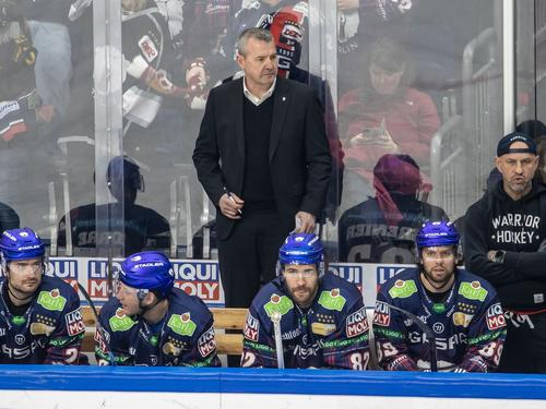 Eishockey-Bundestrainer Nutznießer von Eisbären-Frust