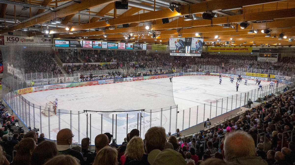 Nazi-Banner in Polen: Eisbären nehmen Entschuldigung an