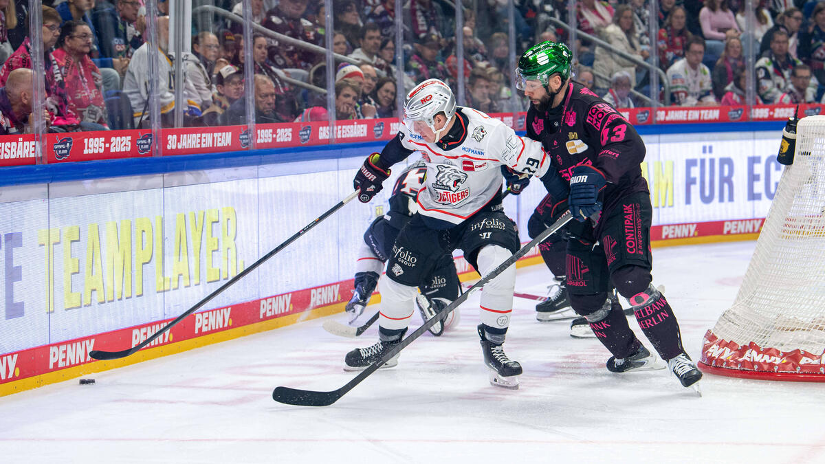 Eisbären Berlin setzen Aufholjagd fort